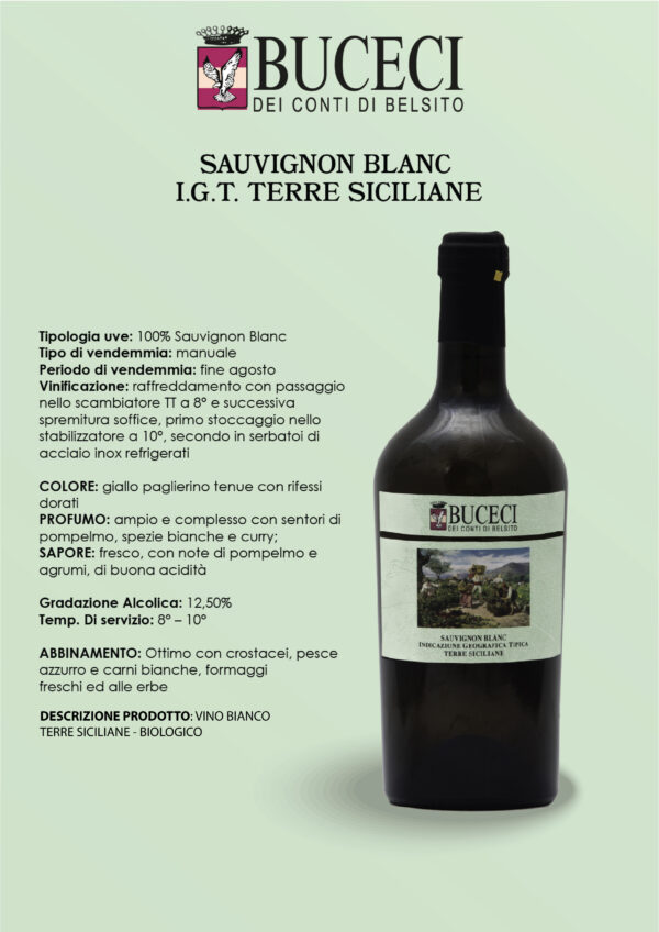 Sauvignon Blanc - Terre Siciliane